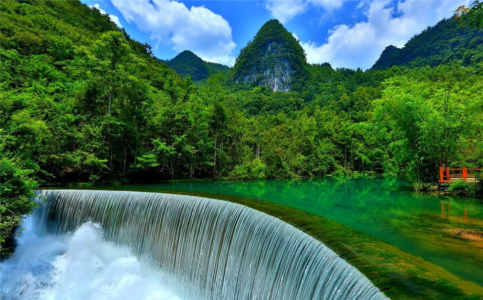 蛋花花蛋花花蛋花花蛋花花蛋花花蛋花花蛋花花蛋花花