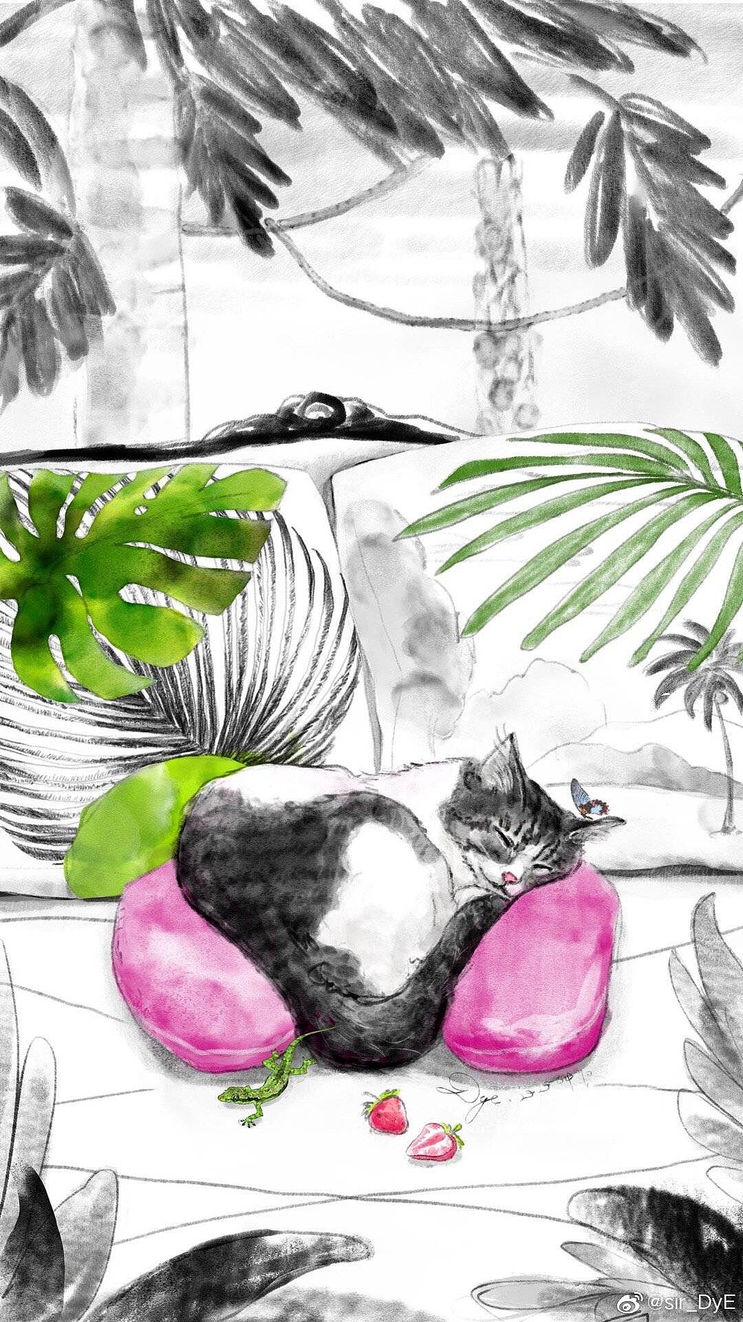 家里的猫是小草莓!