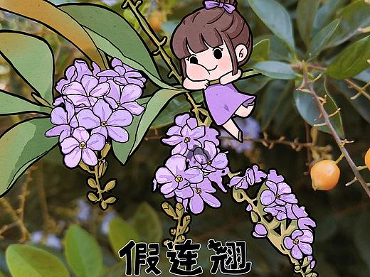 各种花