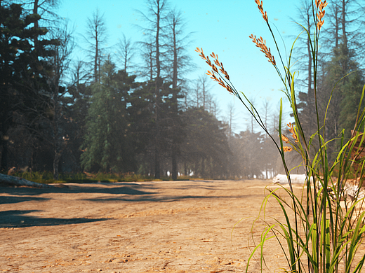 Discovery and awakening