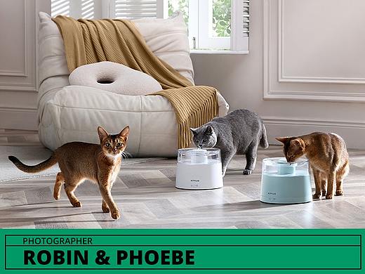 宠物用品拍摄 I Robin&Phoebe