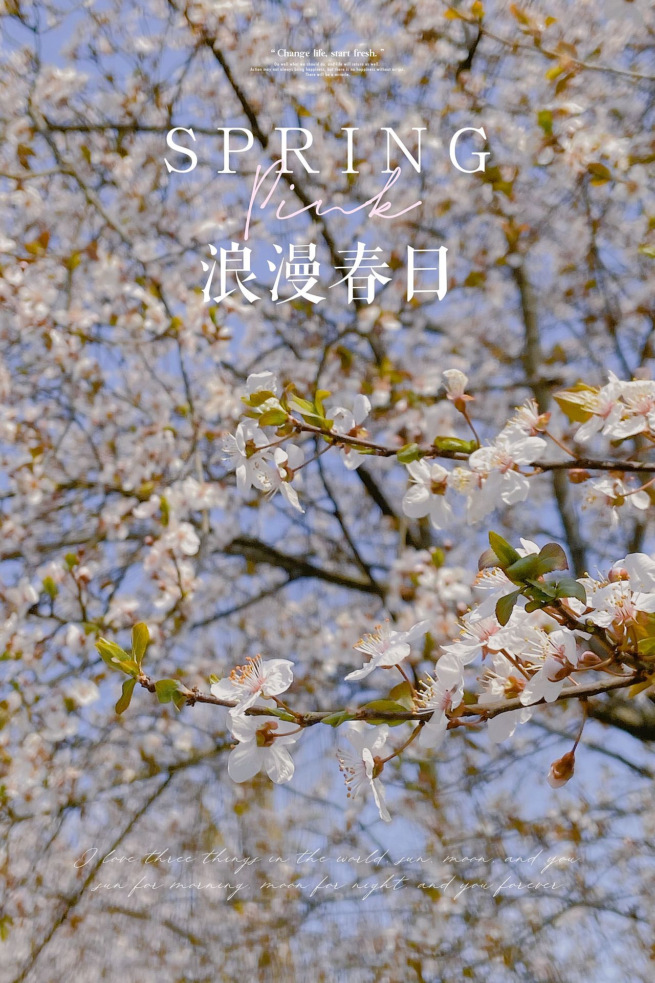 知昼暖·随拍随想（图ZMjQ5MjM5MTgw） - 风光摄影 - 站酷设计师南山请问原创素材 - 站酷ZCOOL