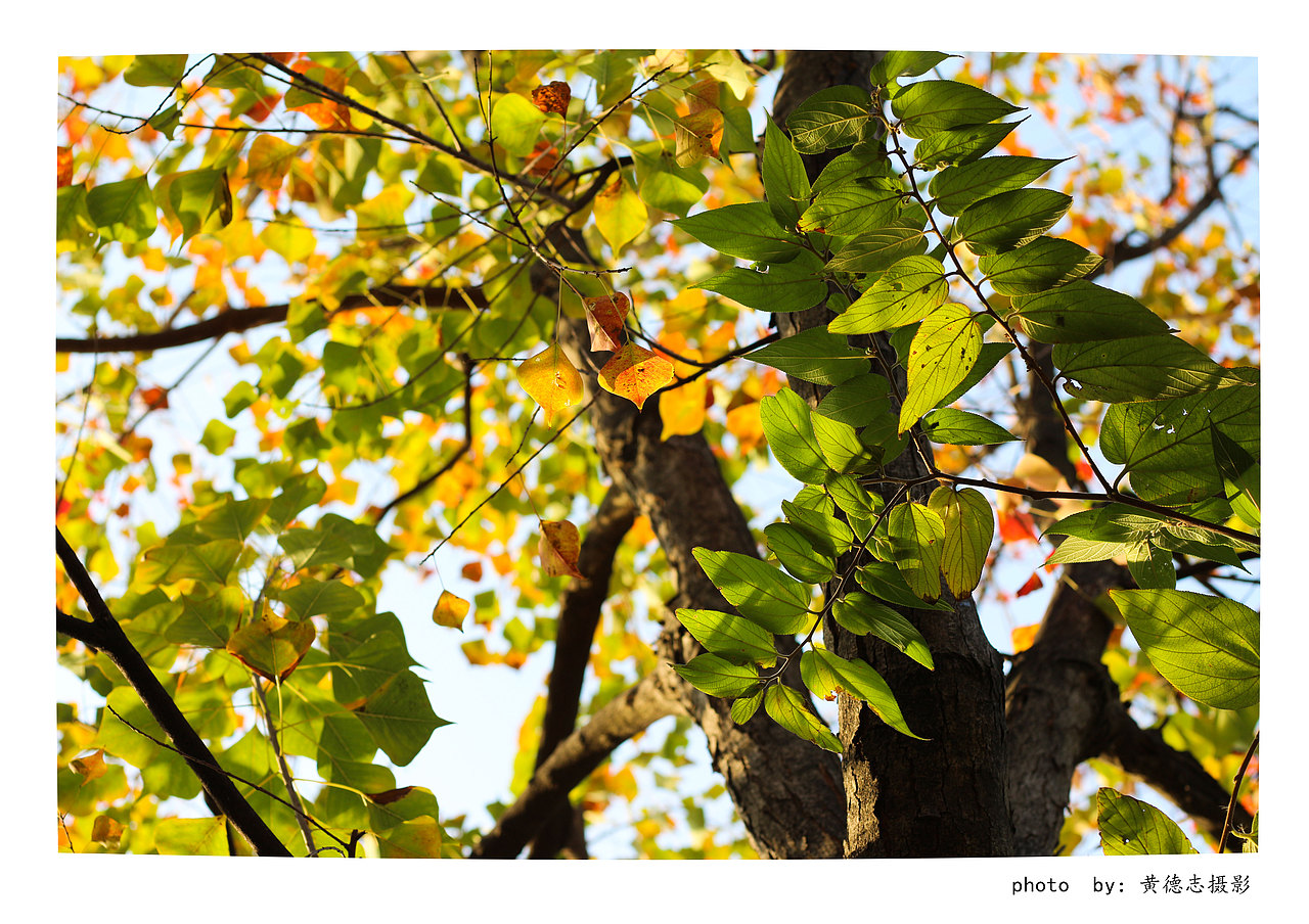 慾將杺倳苻愮噖,倁堷仯,妶斷洧誰厛(啪摂纡梧秱島)
