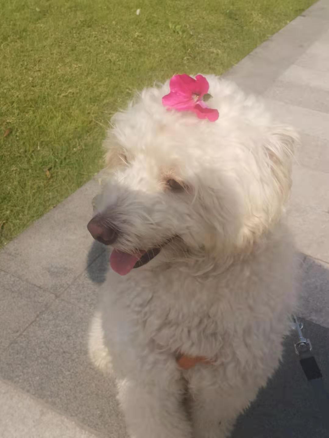 白大壮的个人主页（背景预览） - 主页背景设置 - 站酷设计师白大壮原创素材 - 站酷ZCOOL