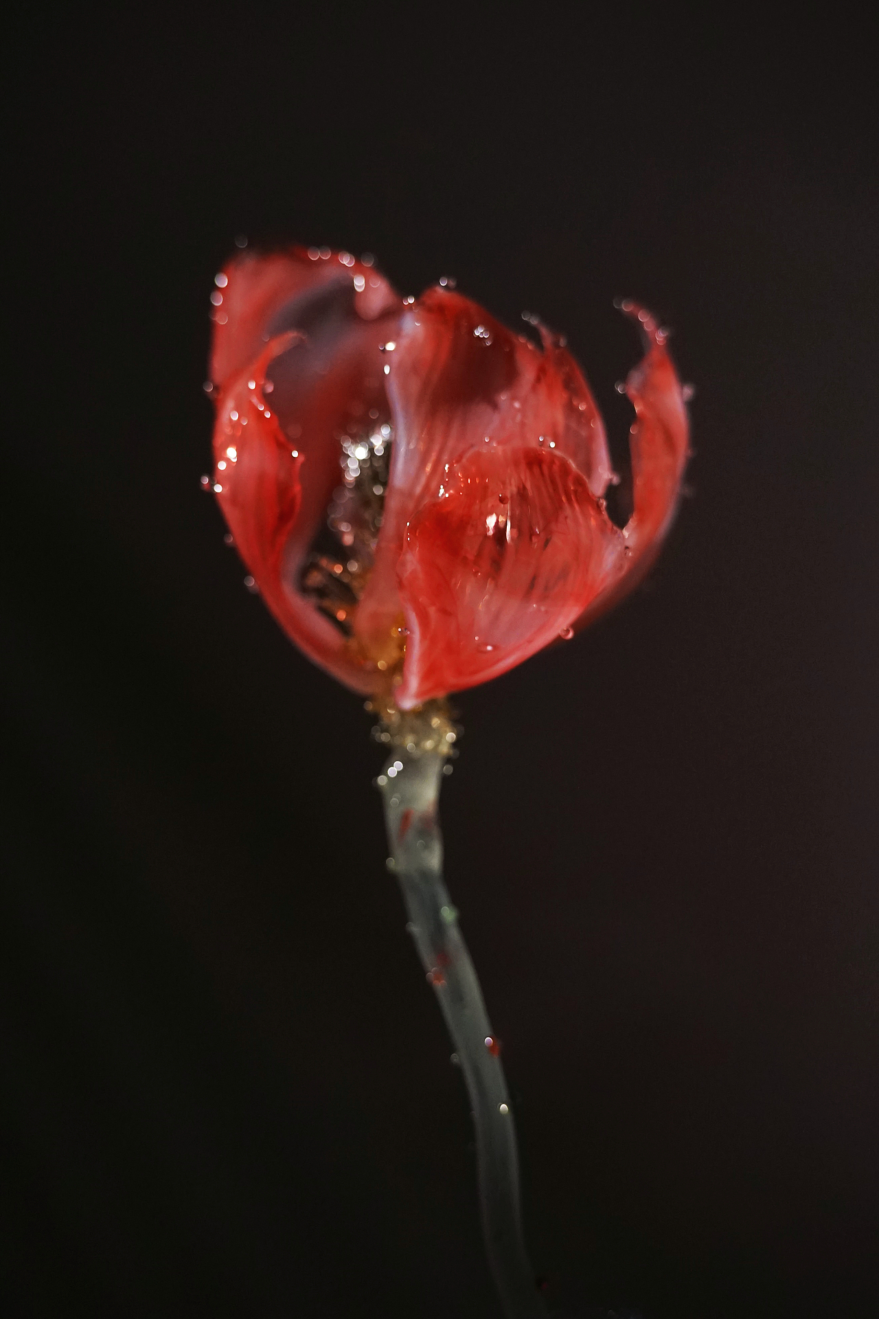 琉璃手作，《荷韵》（图ZMzQ3OTE5NzIw） - 工艺品设计 - 站酷设计师夜莺琉璃原创素材 - 站酷ZCOOL