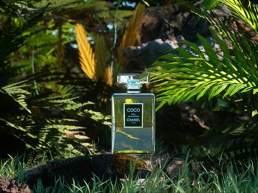 丛林系列香水渲染