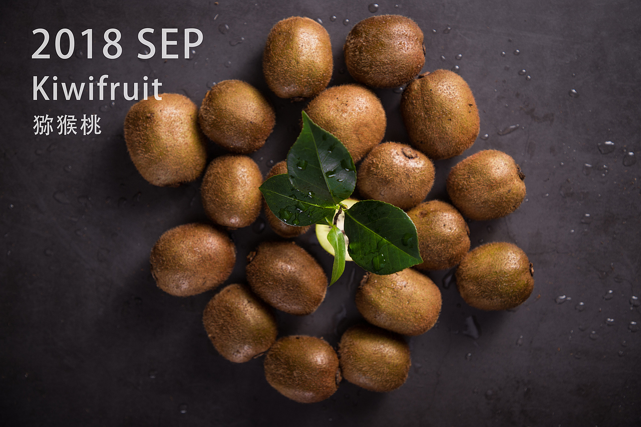 猕猴桃（图ZMTI5NjI5NDI0） - 产品摄影 - 站酷设计师视迹传媒原创素材 - 站酷ZCOOL