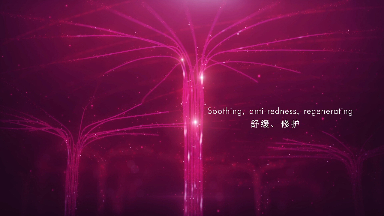 CONTENT / 新产品发布会视频