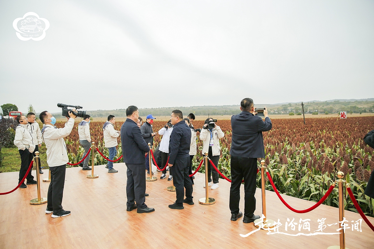 汾酒活动:走进汾酒第一车间·全国主流媒体原粮基地行(图ZMjc2OTIzOTI4) - 其他摄影 - 站酷设计师子洋君Kingsley原创素材 - 站酷ZCOOL