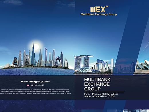 大通金融集团（外企）平面作品