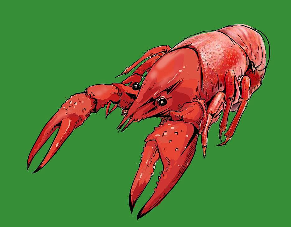 小龙虾活动海报-创作过程（图ZMTE3OTYxNDcy） - 商业插画 - 站酷设计师鹏城犀利哥原创素材 - 站酷ZCOOL