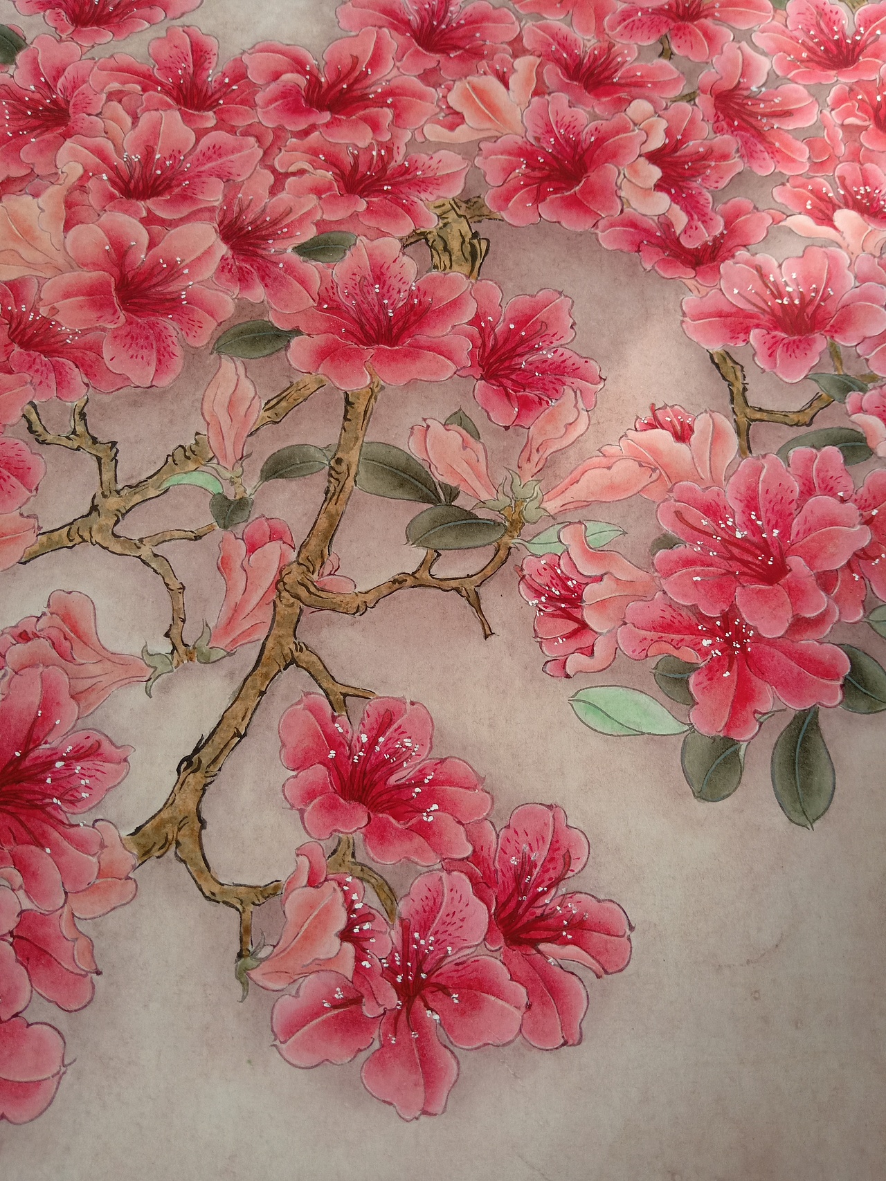 映山红练习作品