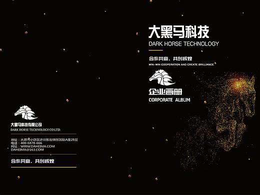 简约黑金企业画册