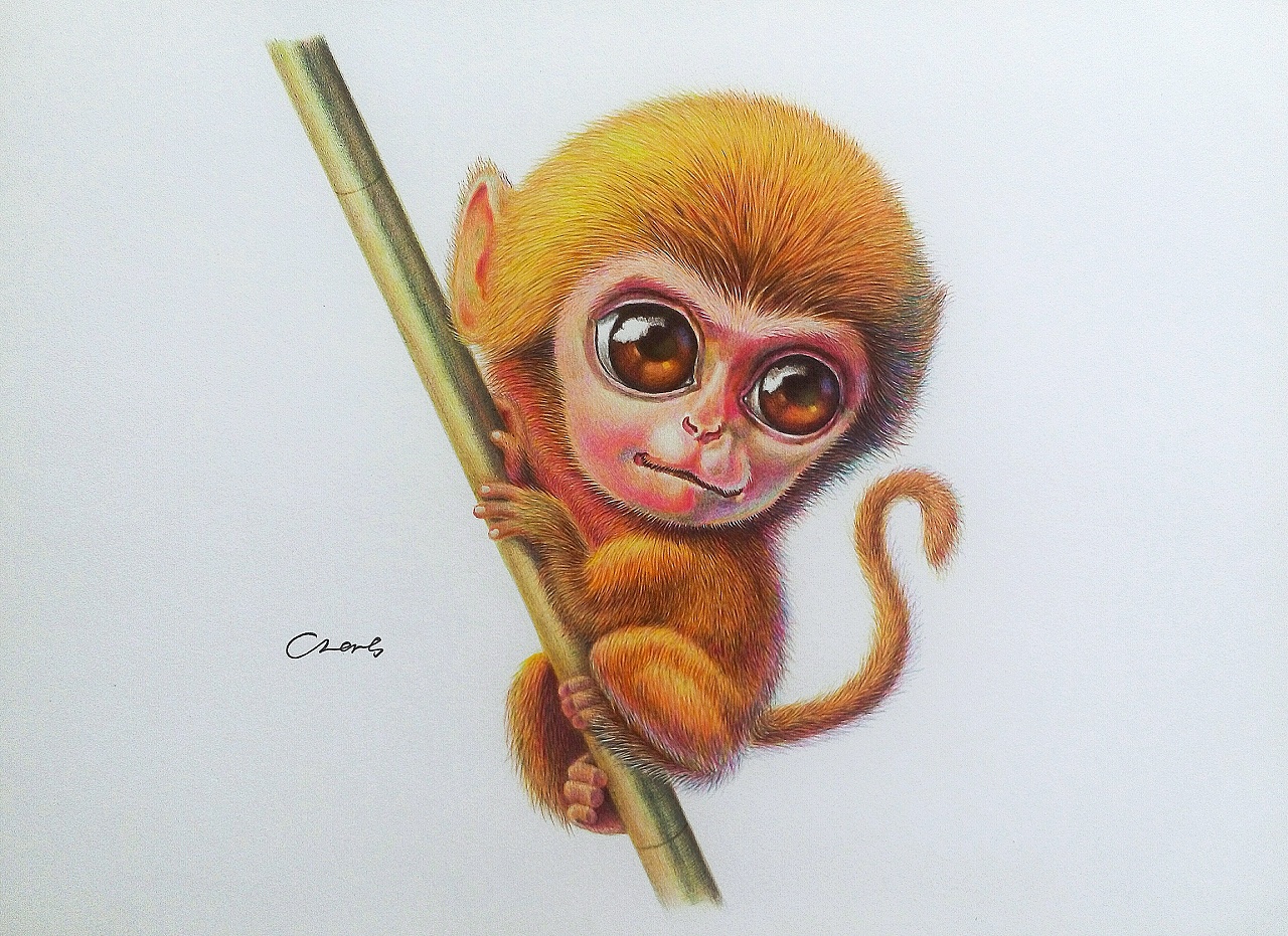 猴年画猴-画儿晴天水墨画·猴选 |纯艺术|绘画|画儿晴天 - 原创作品 - 站酷 (ZCOOL)