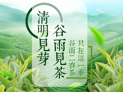 茶叶banner2（个人主页-ZNDU4MDE4NjQ=） - 宣传物料 - 站酷设计师向惠源原创素材 - 站酷ZCOOL