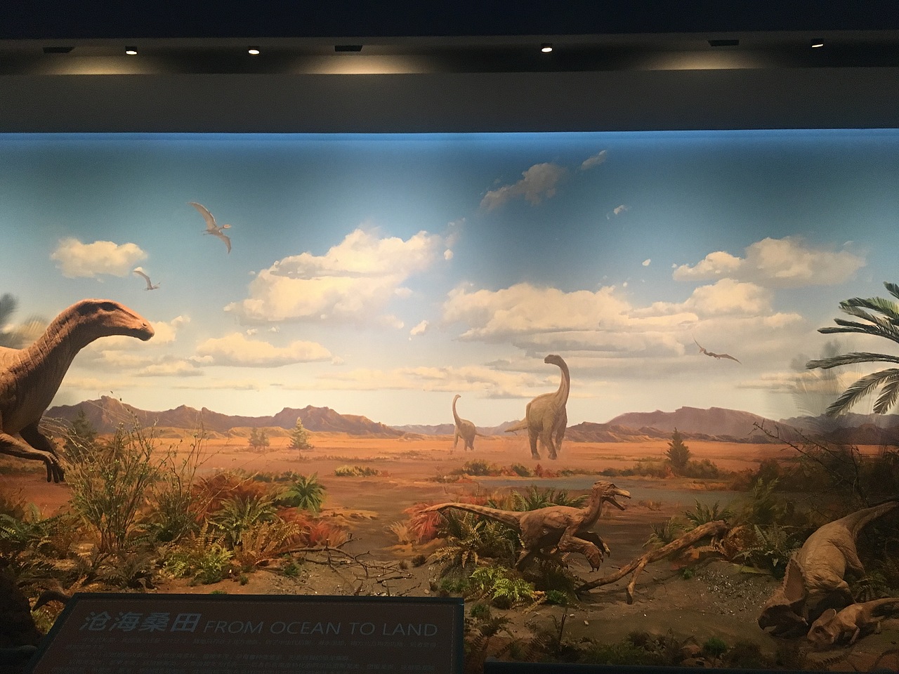 海洋博物馆（图ZMjUyMDU4ODEy） - 展陈设计 - 站酷设计师易森空间设计原创素材 - 站酷ZCOOL