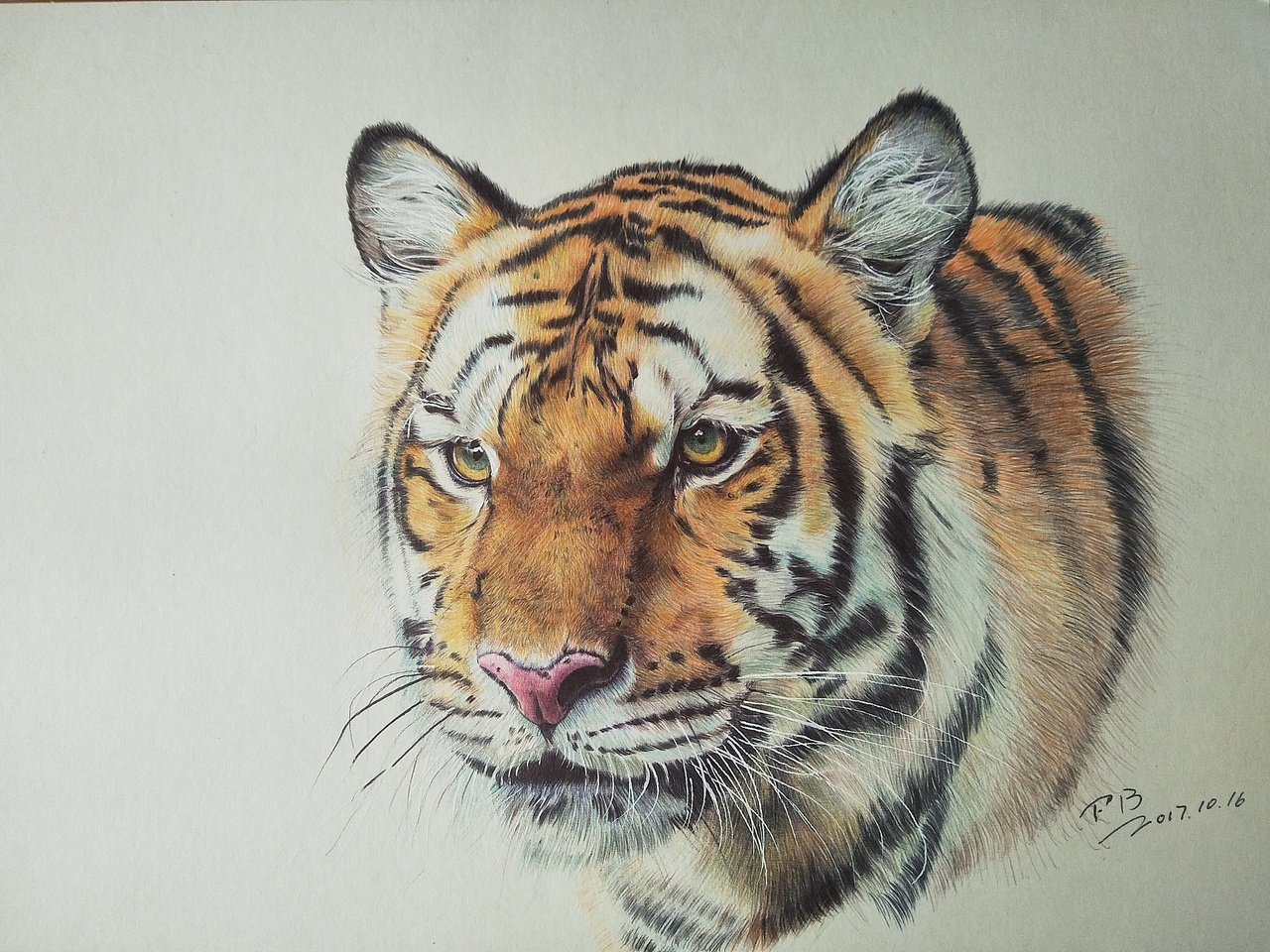 彩色圆珠笔画-动物篇