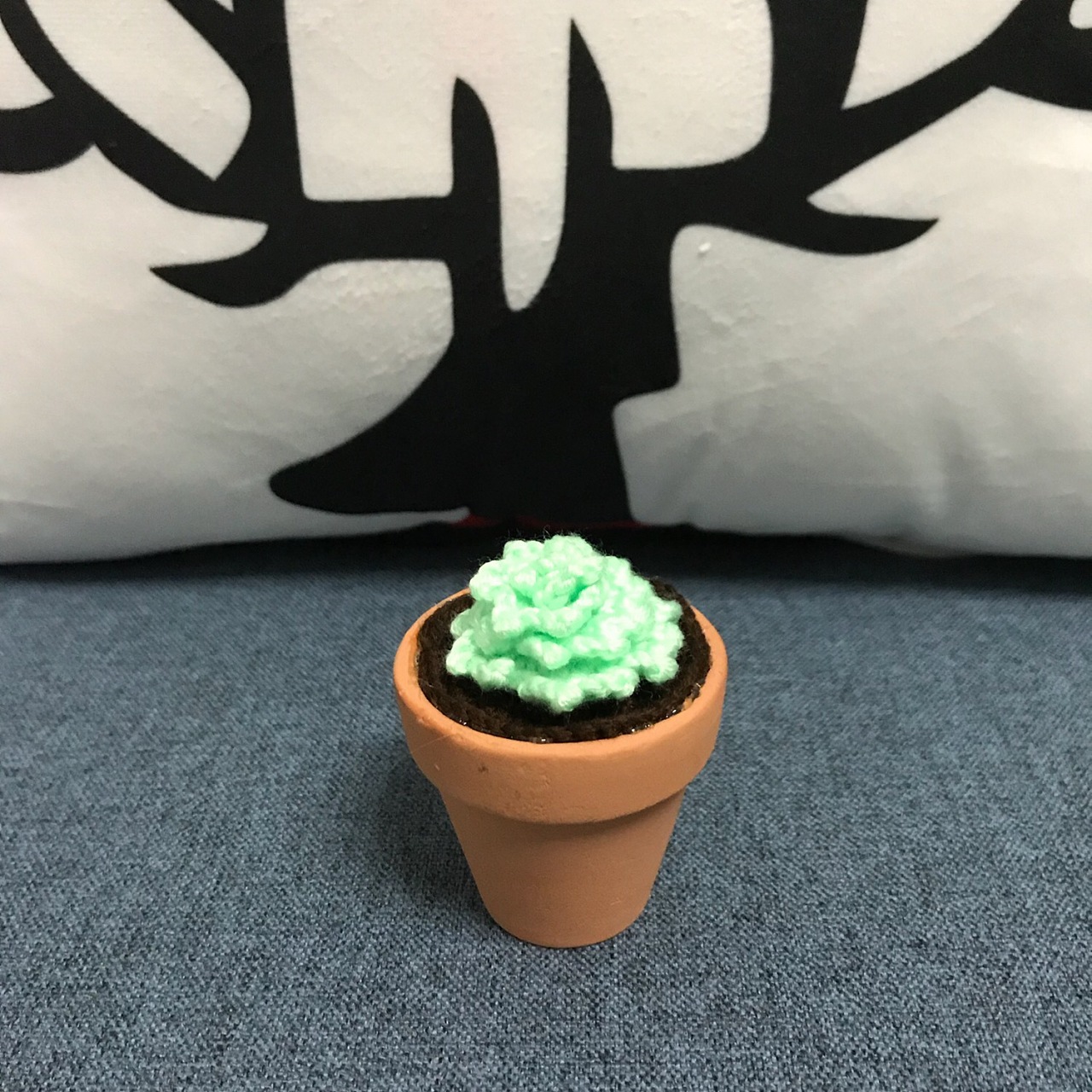 手工钩针编织#多肉