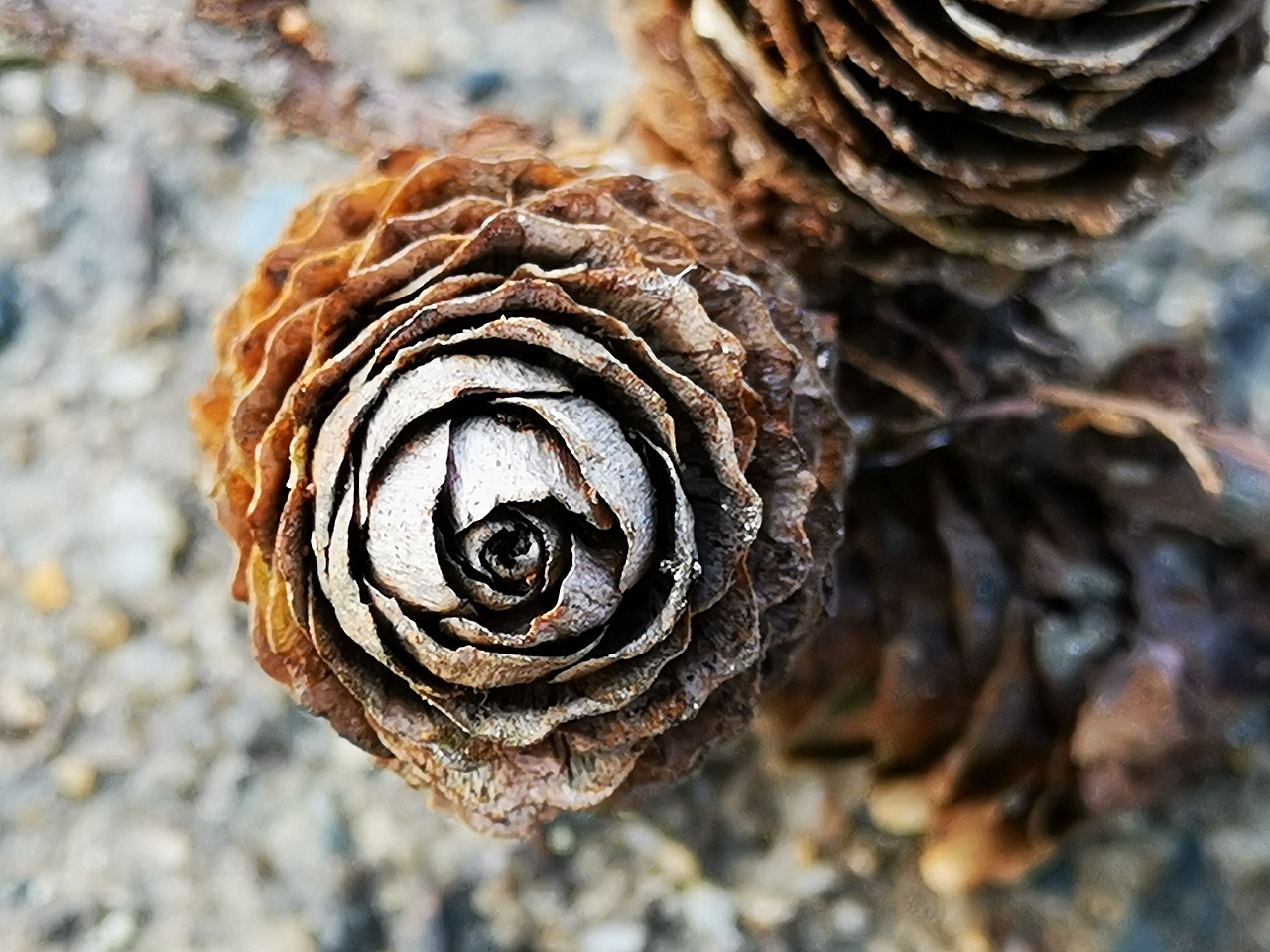 努力发现生活中的美