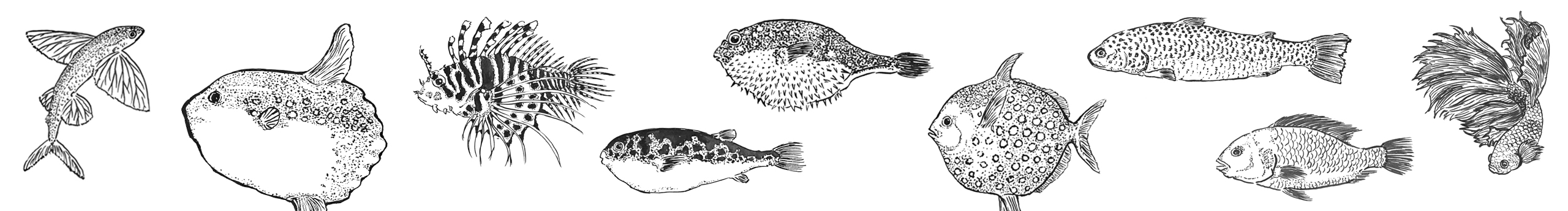 LetterQ的個人主頁（封面預(yù)覽） - 主頁封面設(shè)置 - 站酷設(shè)計師LetterQ原創(chuàng)素材 - 站酷ZCOOL