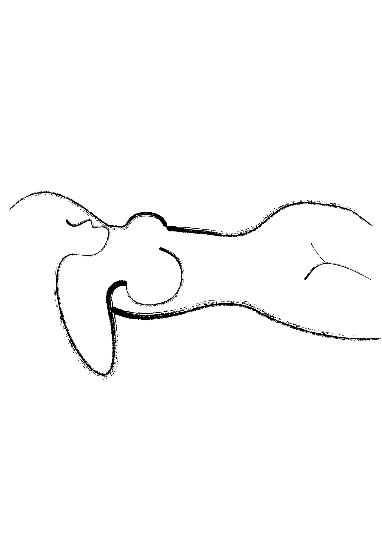 女体简约线条 练习|插画|创作习作|fanq_原创作品-站酷(zcool)