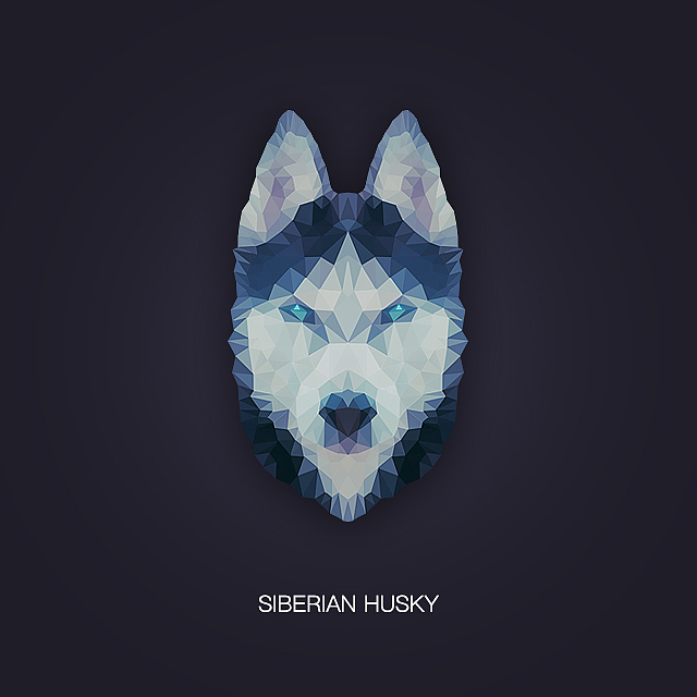 多边形动物头像