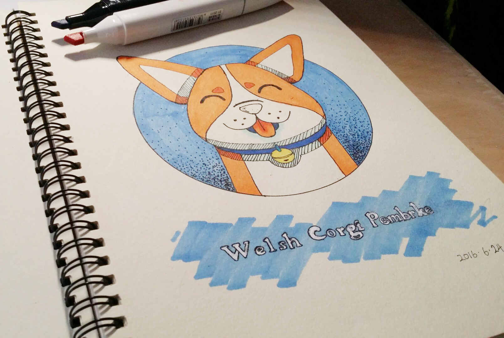 小柯基|插画|插画习作|murph123 - 原创作品 - 站酷 (zcool)