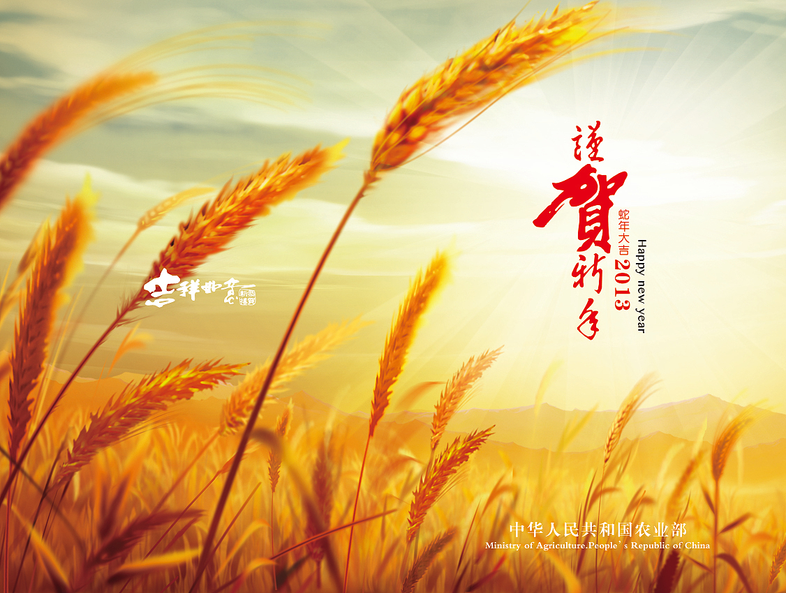 2013年贺卡设计方案