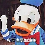 丸子不是牛肉丸的头像