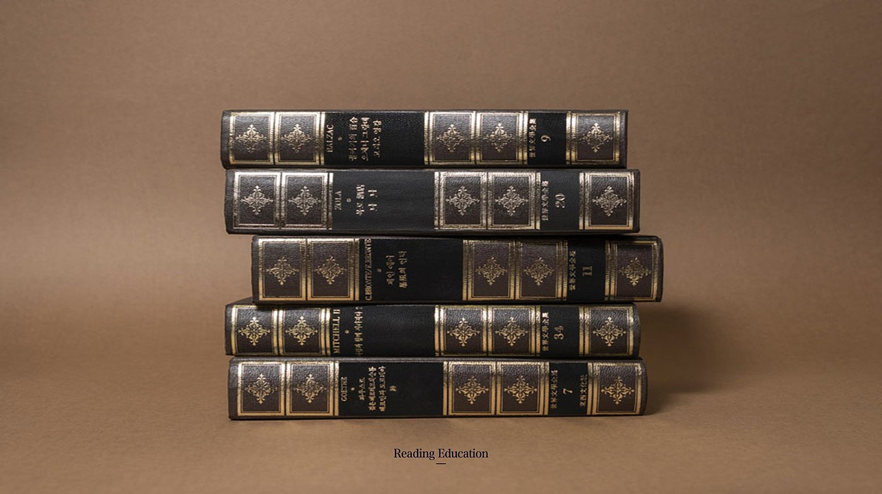 瑞丁教育品牌视觉方案(已商用)