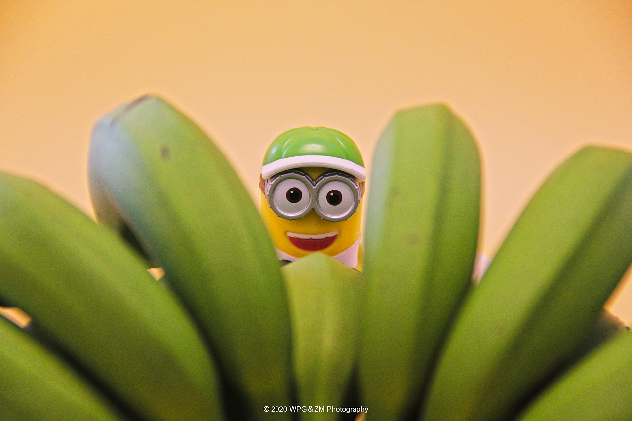 banana! 看到香蕉是否就会想起小黄人儿 绿色的香蕉小黄人会喜欢吗