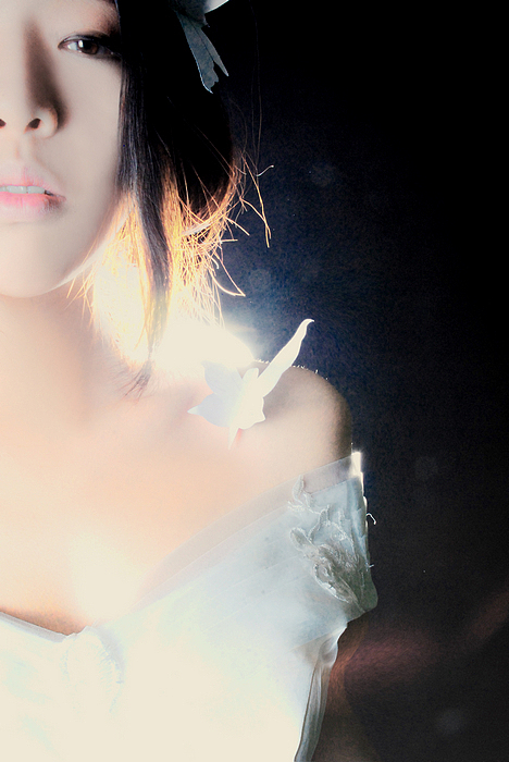 灰色梦幻里的光。