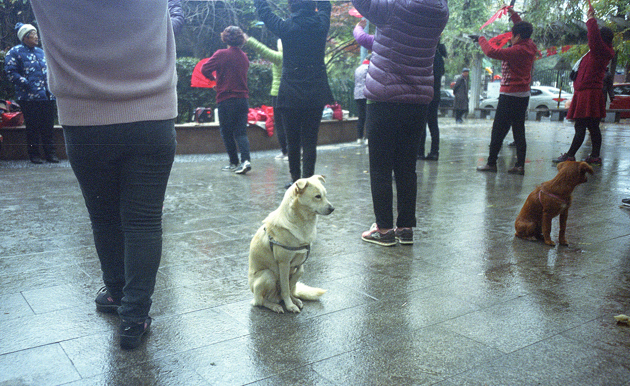 理光Gr1s试机（图ZMTkwNTAzNjA4） - 人文/纪实摄影 - 站酷设计师supersims原创素材 - 站酷ZCOOL