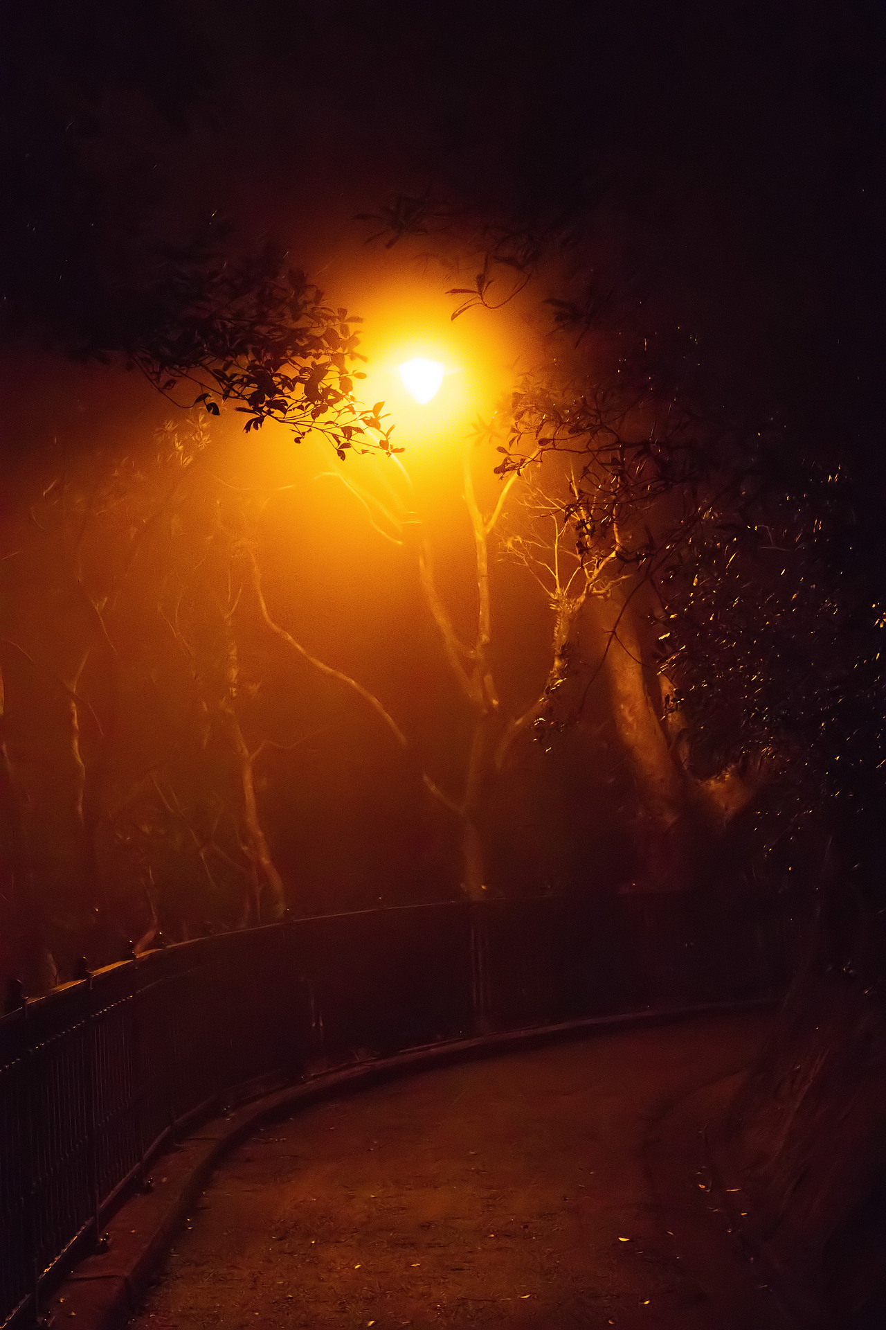 香港摄影|HK（图ZMTQ2Mjg5NTMy） - 风光摄影 - 站酷设计师東湖EL原创素材 - 站酷ZCOOL