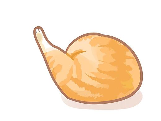 猫为什么这么做02