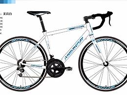 自行车涂装设计