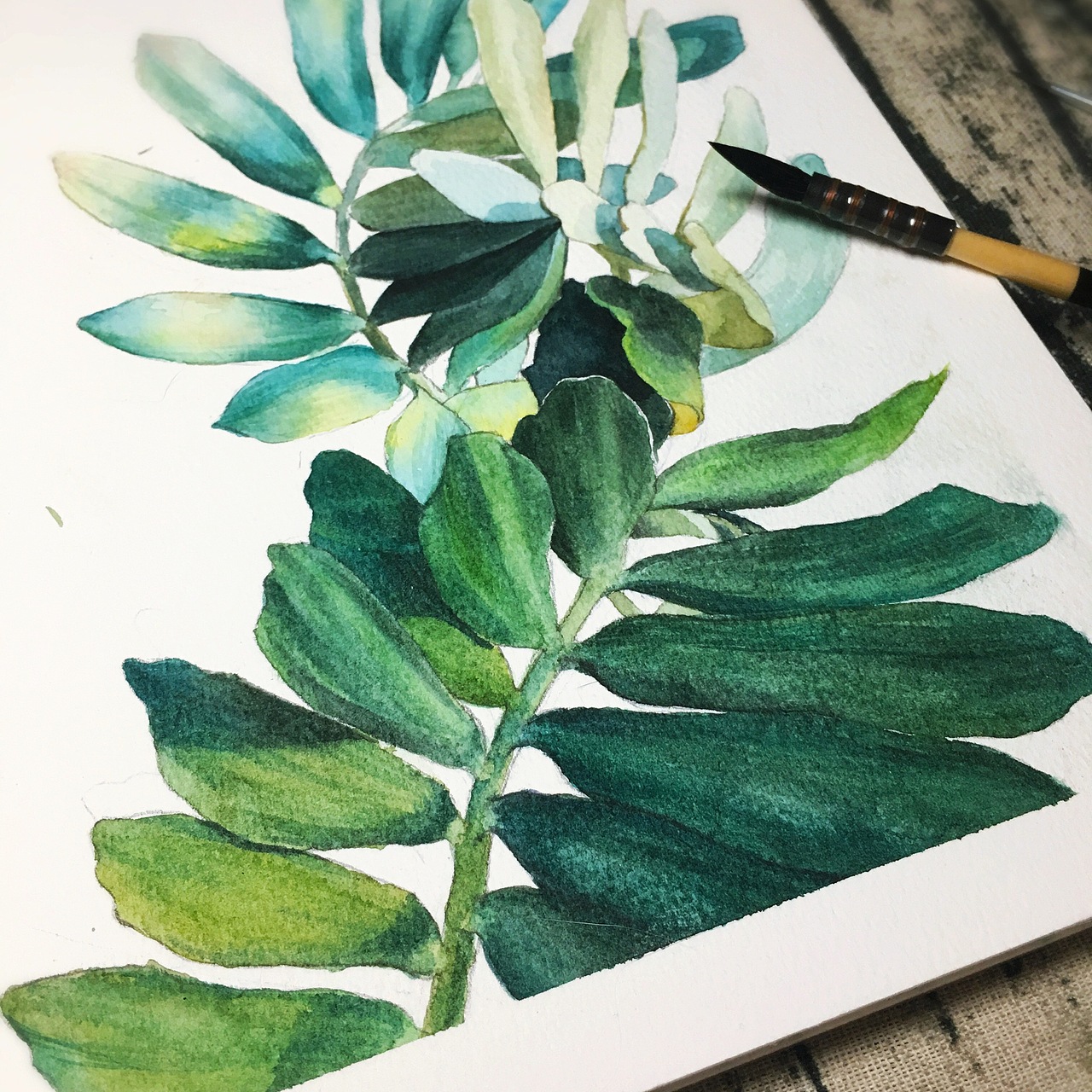 绿植（图ZNzc5Nzk3NjQ=） - 商业插画 - 站酷设计师萌萌萌萌萌M原创素材 - 站酷ZCOOL