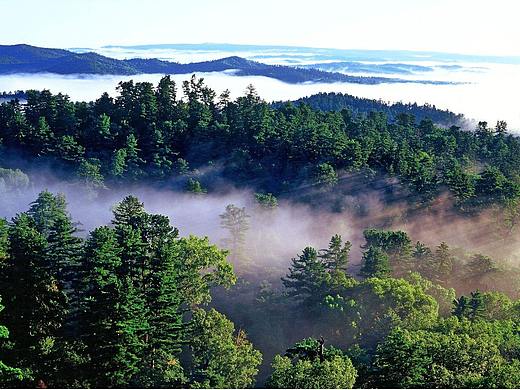 畅游林都伊春，在酒店帐篷里沐浴天然氧吧！（个人主页-ZMTI1MjUzNg==） - 其他 - 站酷设计师篷派酒店帐篷原创素材 - 站酷ZCOOL