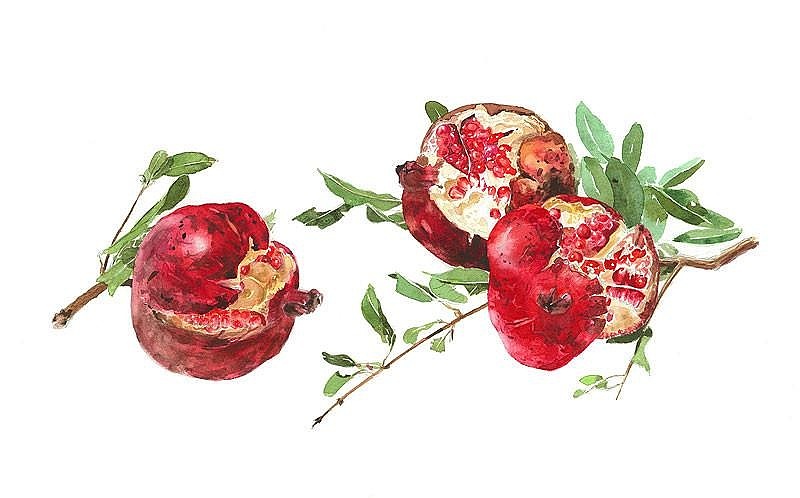 格调彩绘分享-厨房里的植物彩绘（图ZOTE0OTY0MDA=） - 图案 - 站酷设计师格调彩绘原创素材 - 站酷ZCOOL