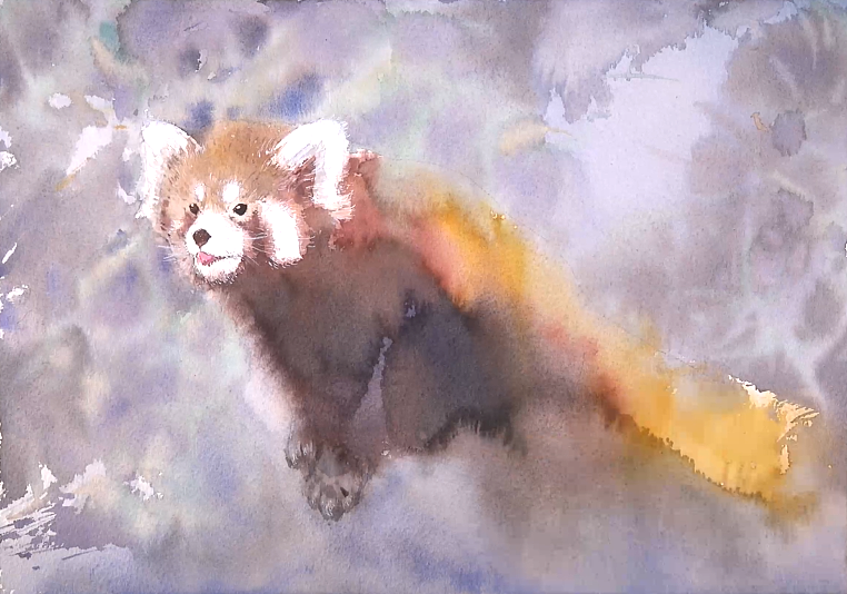 水彩绘画视频（小熊猫）（图ZMTgyMDE0MDky） - 绘画 - 站酷设计师萃艺博课堂原创素材 - 站酷ZCOOL