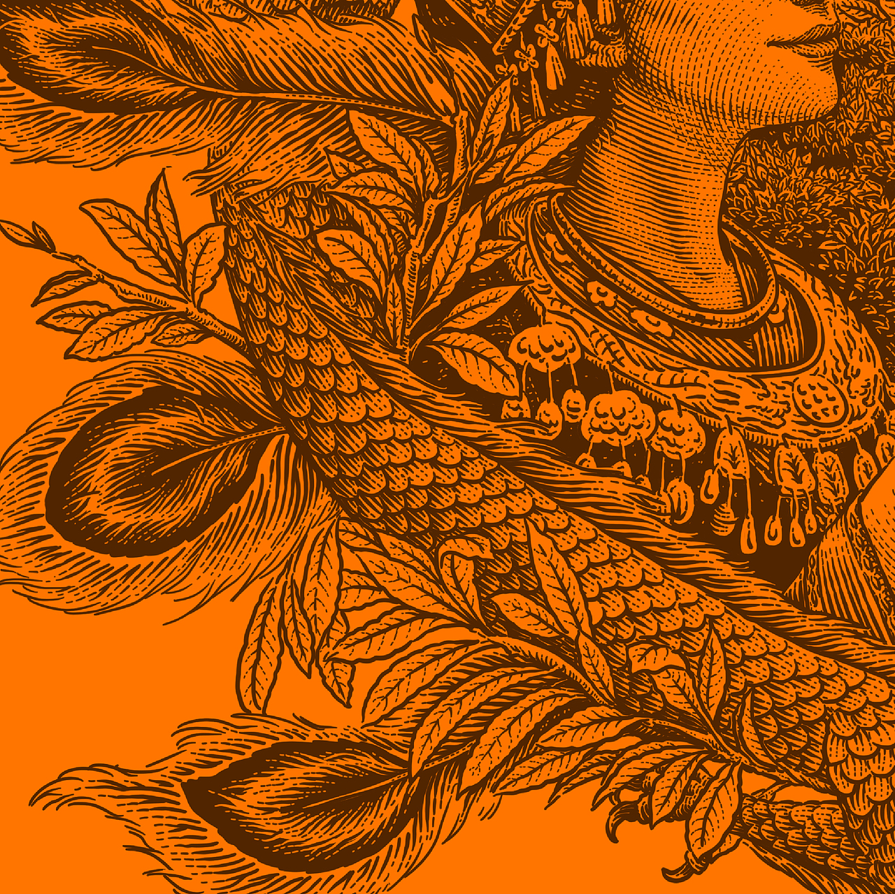 合作插画 | 鱼玥黄金茶（图ZMjkyMDQyMzAw） - 商业插画 - 站酷设计师花椒的Alex原创素材 - 站酷ZCOOL