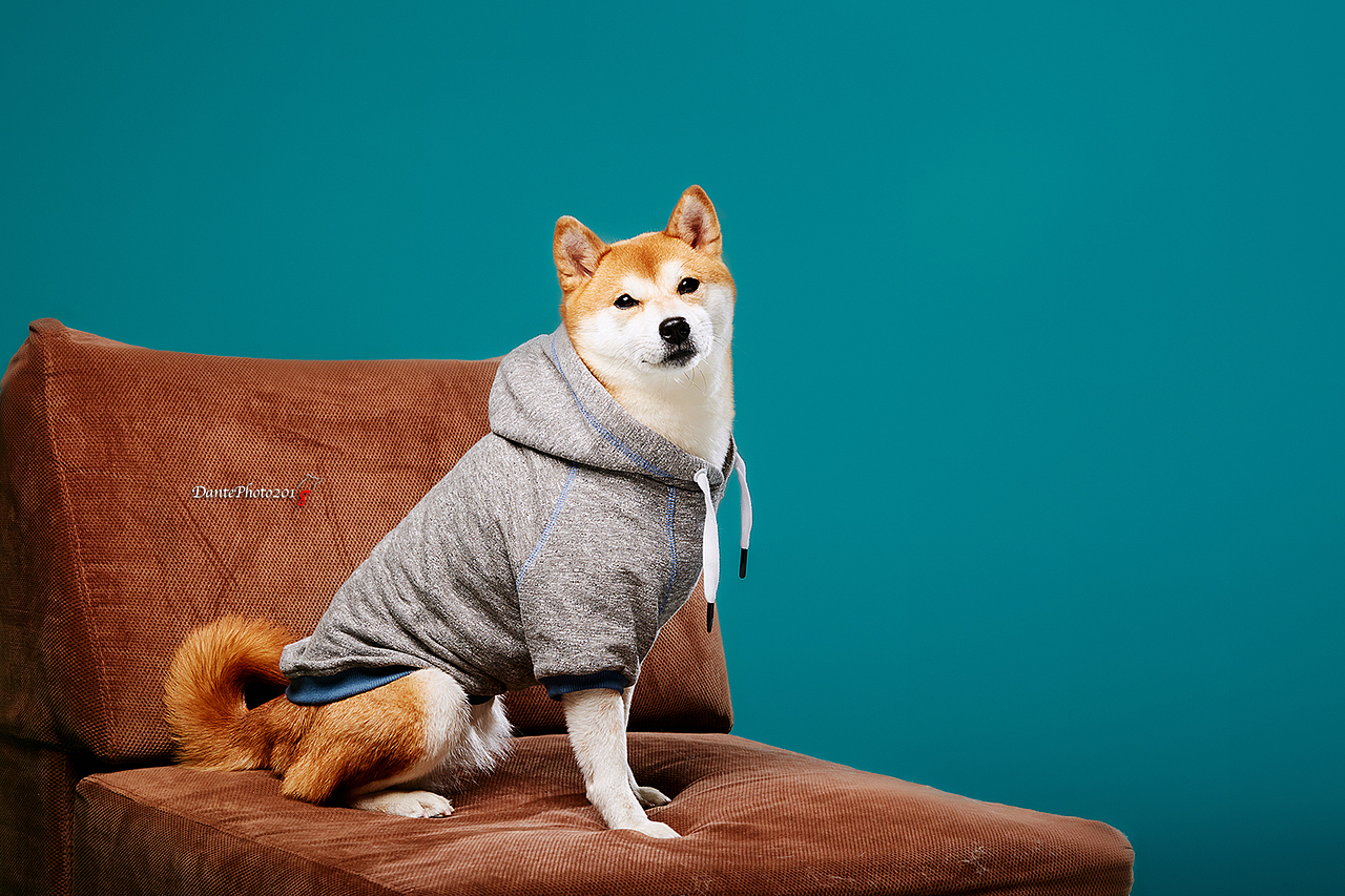 Docga couture fall winter2018上半部分