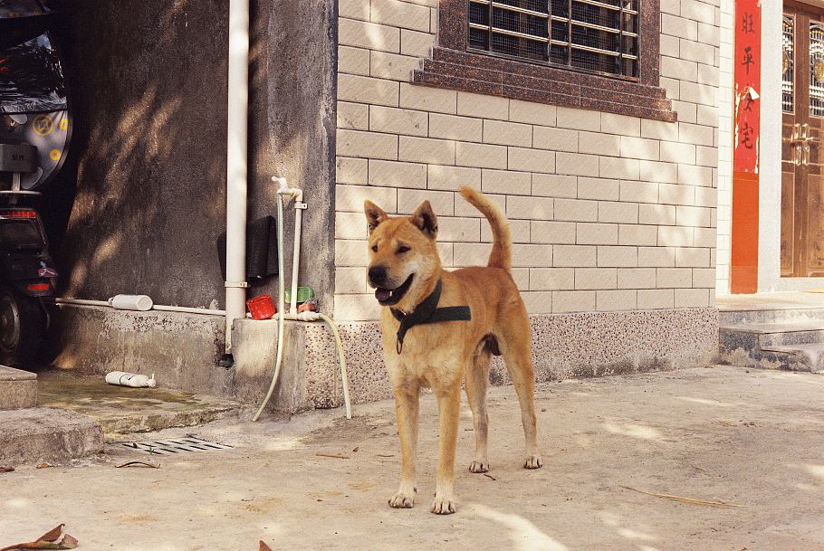 我的第一卷胶片/5207电影卷