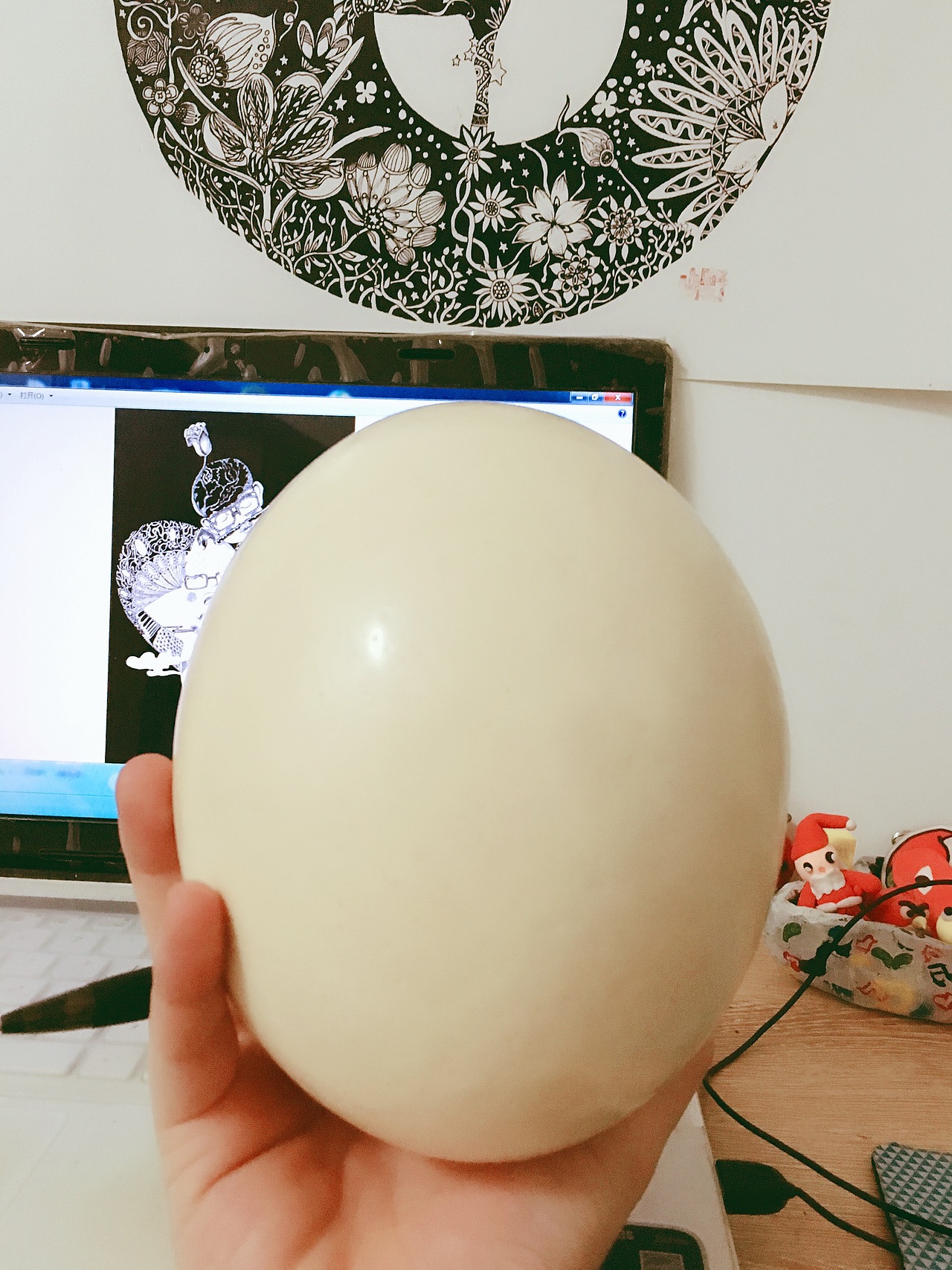 鸵鸟蛋黑白插画