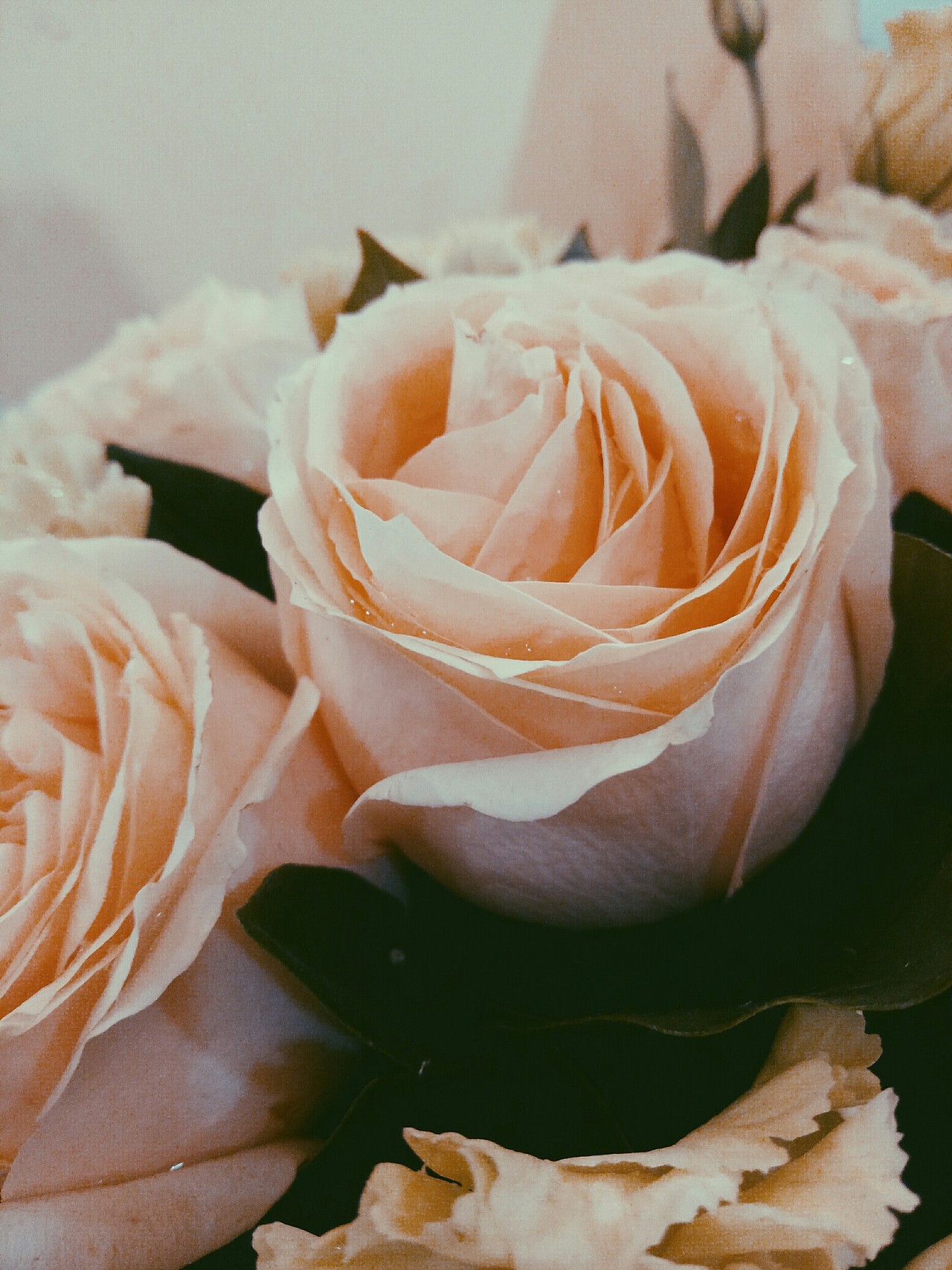 瞎拍瞎排的小美好