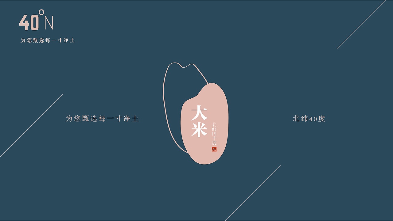 大米包装设计