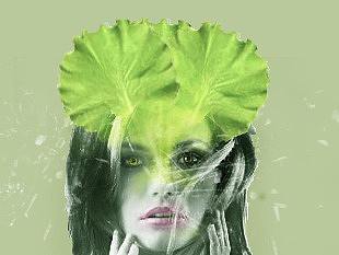 蔬菜人物（個(gè)人主頁(yè)-ZMzM3MDA1OTY=） - 海報(bào) - 站酷設(shè)計(jì)師niunia原創(chuàng)素材 - 站酷ZCOOL