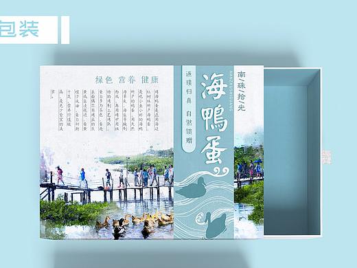 与海鸭蛋有关的一切/包装/首页/logo/icon（个人主页-ZMzg0MDQ0NDA=） - 品牌 - 站酷设计师吃尾巴的猫原创素材 - 站酷ZCOOL