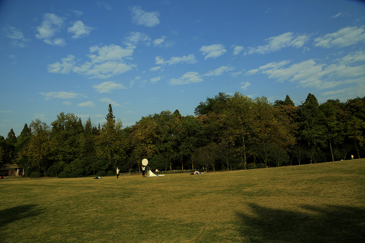 摄影 | 西湖三人行,必有逗比焉