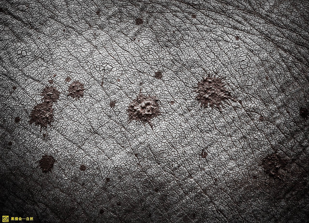 泥点打在身上。